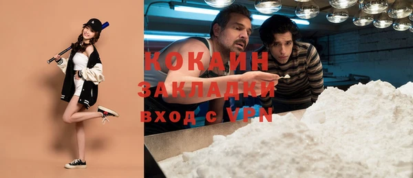 шишки Майский