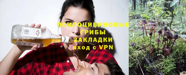 круглые Алзамай