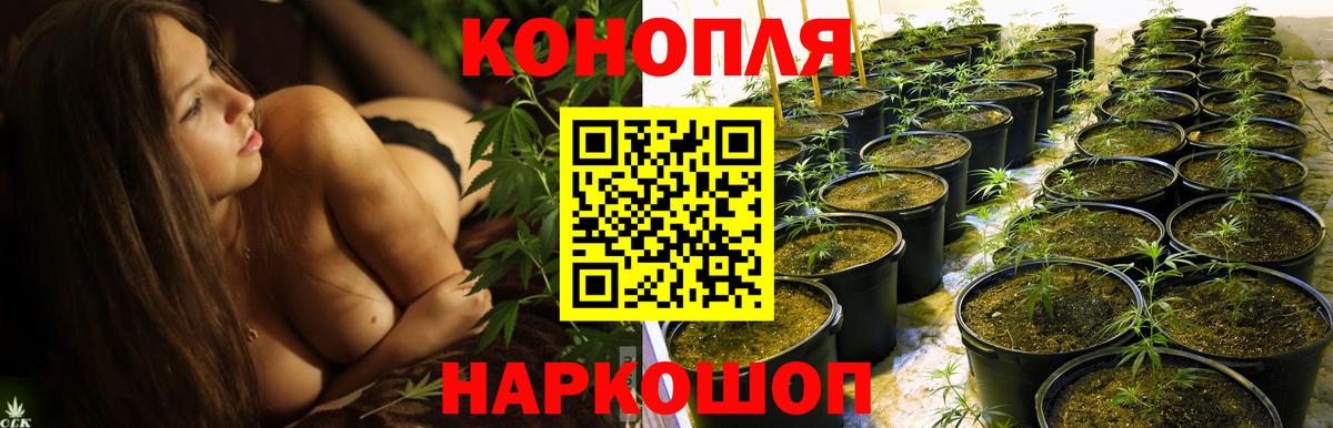 Бутират Тюмень